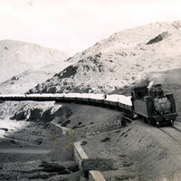 LO4643~1.JPG