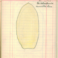 134.jpg